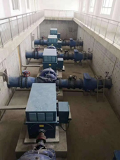 广西某泵站 YL6306-14-630kW-10kV