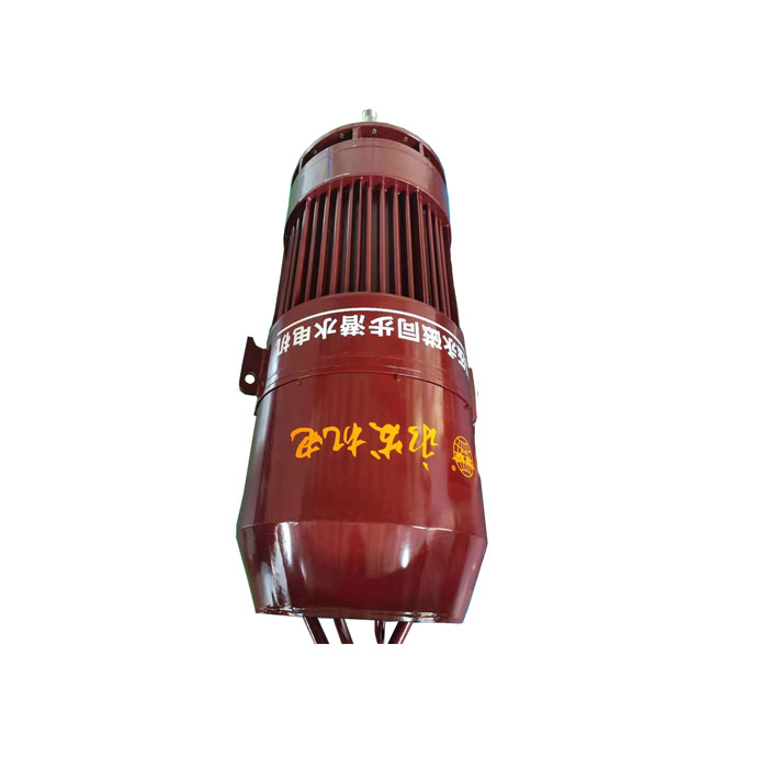 高压永磁潜水电机：为大型水泵注入持久动力